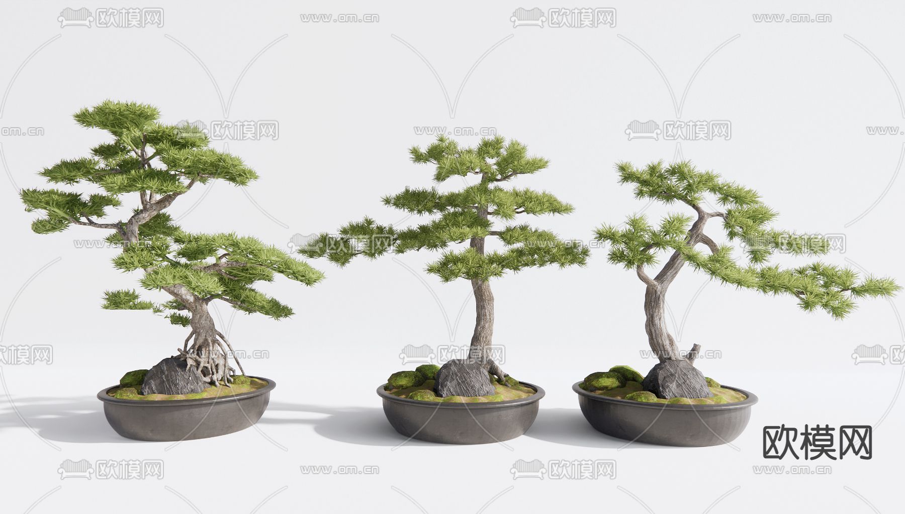 新中式松树盆栽3d模型下载_ID12218459_3dmax免费模型-欧模网