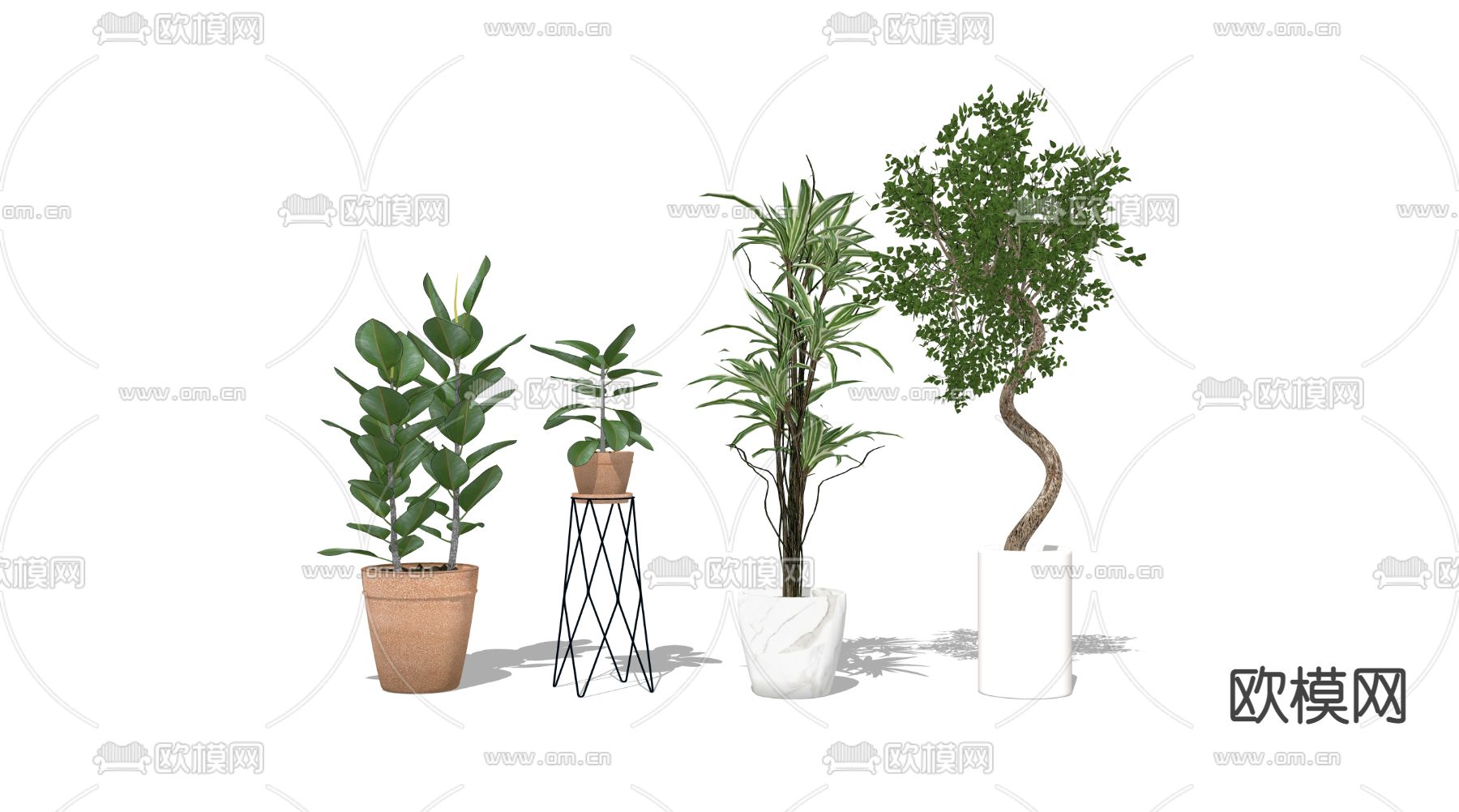 现代植物盆栽su模型下载（渲染图3）