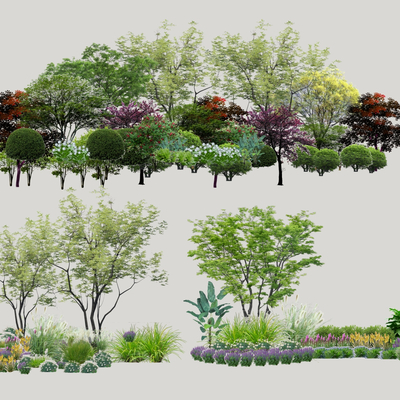  现代景观树2d组件su模型 