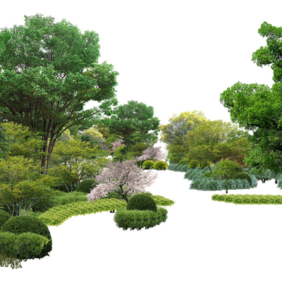  现代景观树2d组件su模型 