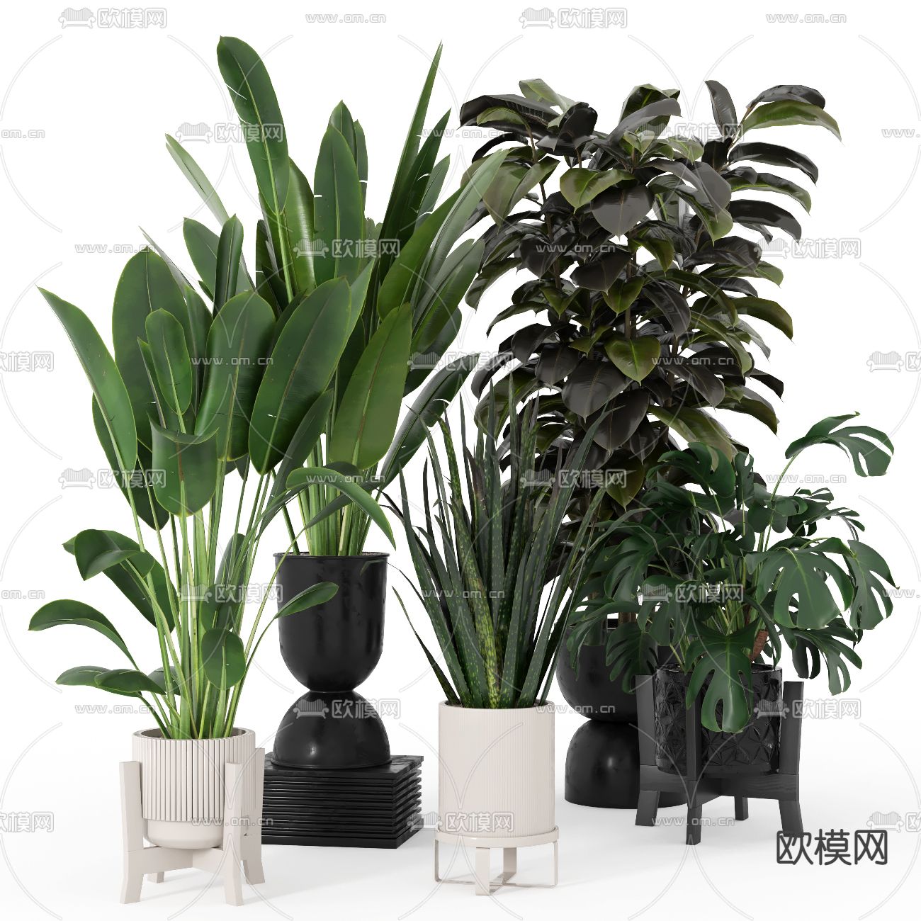现代绿植盆栽3d模型下载_ID12216675_3dmax免费模型-欧模网