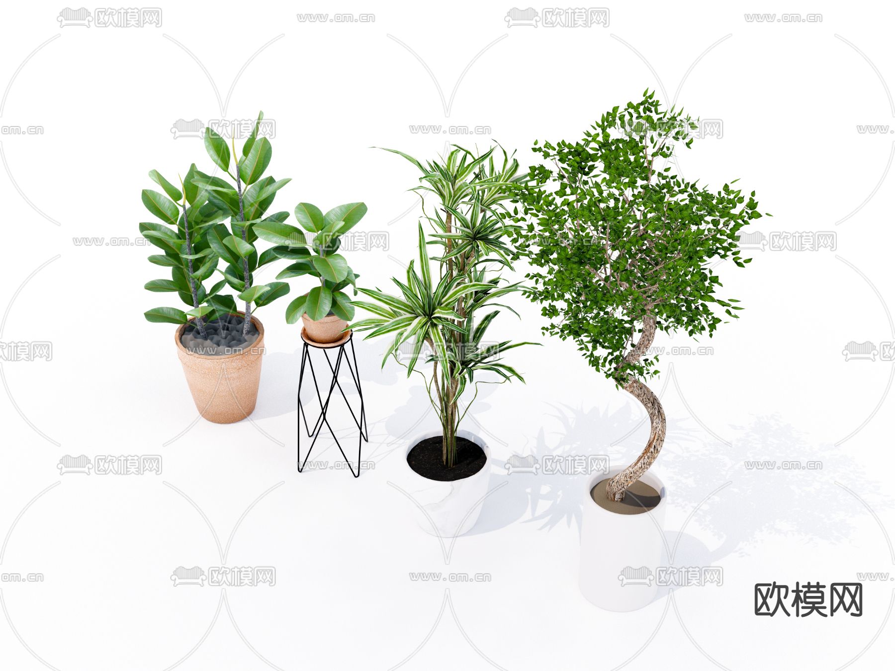 现代植物盆栽su模型下载（渲染图2）