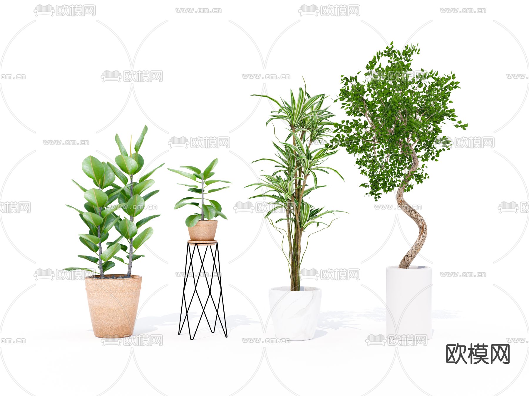 现代植物盆栽su模型下载（渲染图1）