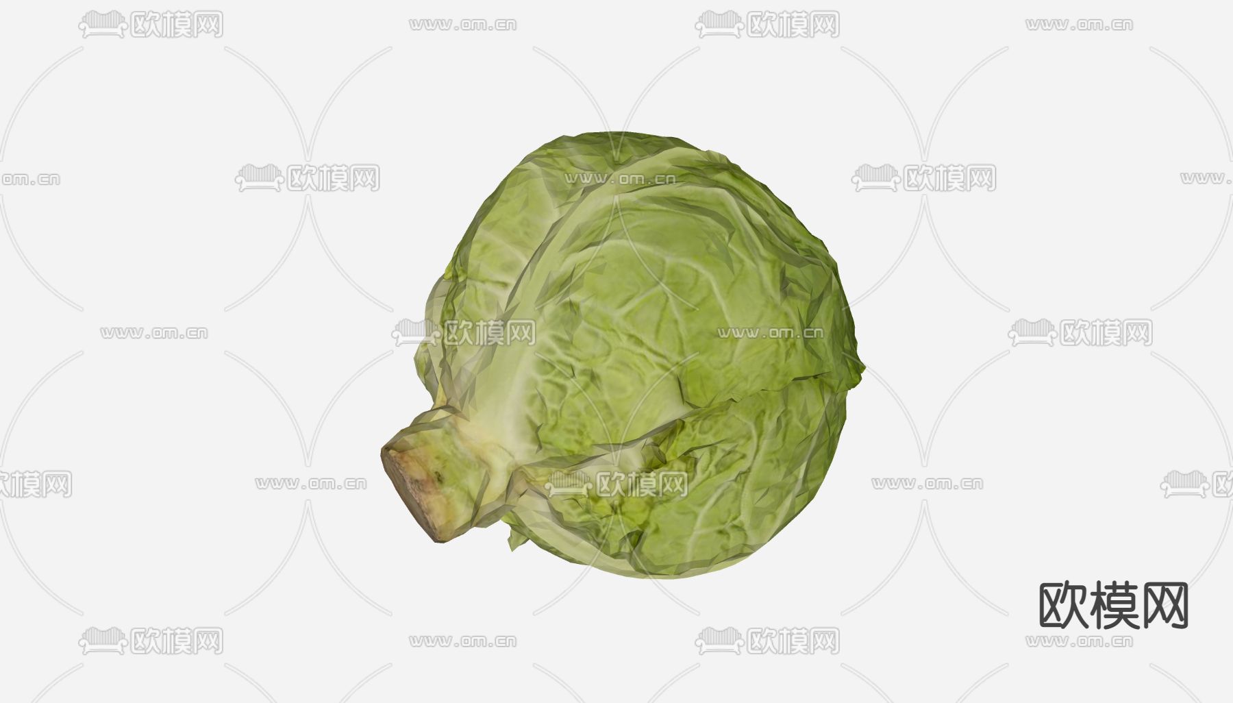 卷心菜 圆白菜su模型下载（渲染图2）