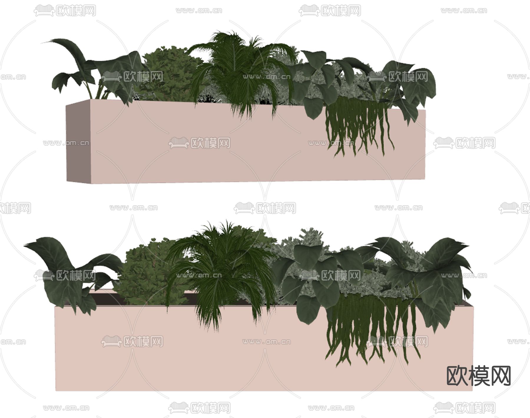 现代植物盆栽su模型下载（渲染图2）