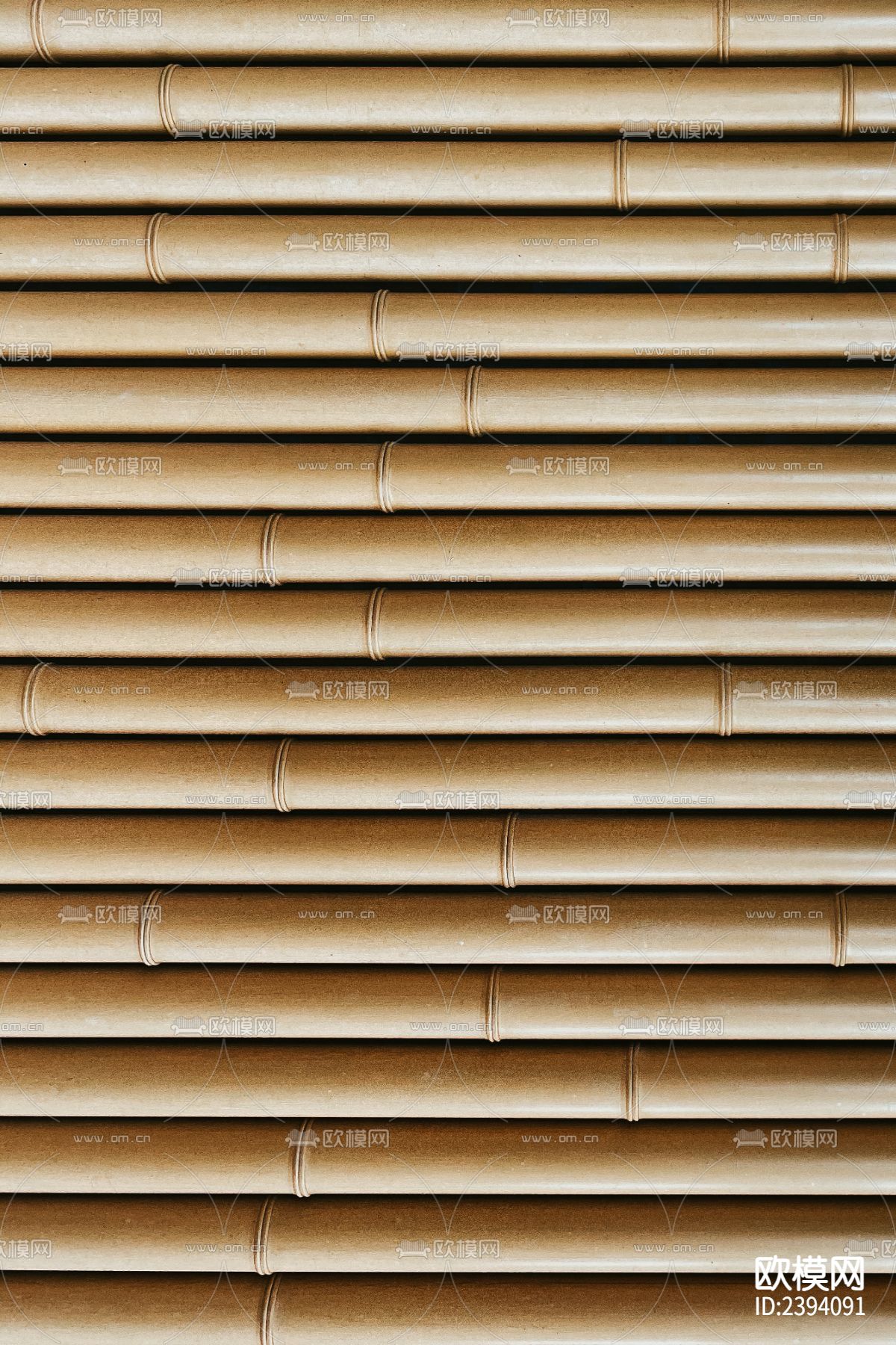 竹子 竹 竹贴图下载