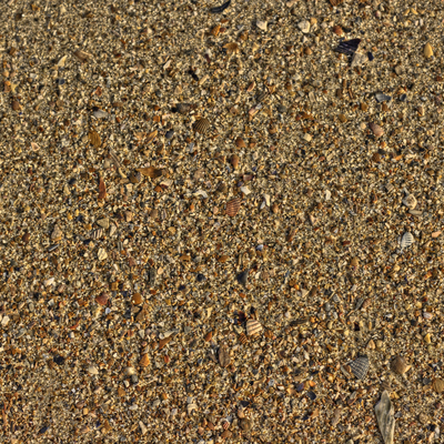 沙子 沙土 沙地 沙滩