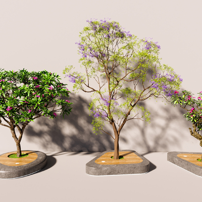  现代景观树  乔木蓝花楹su模型 