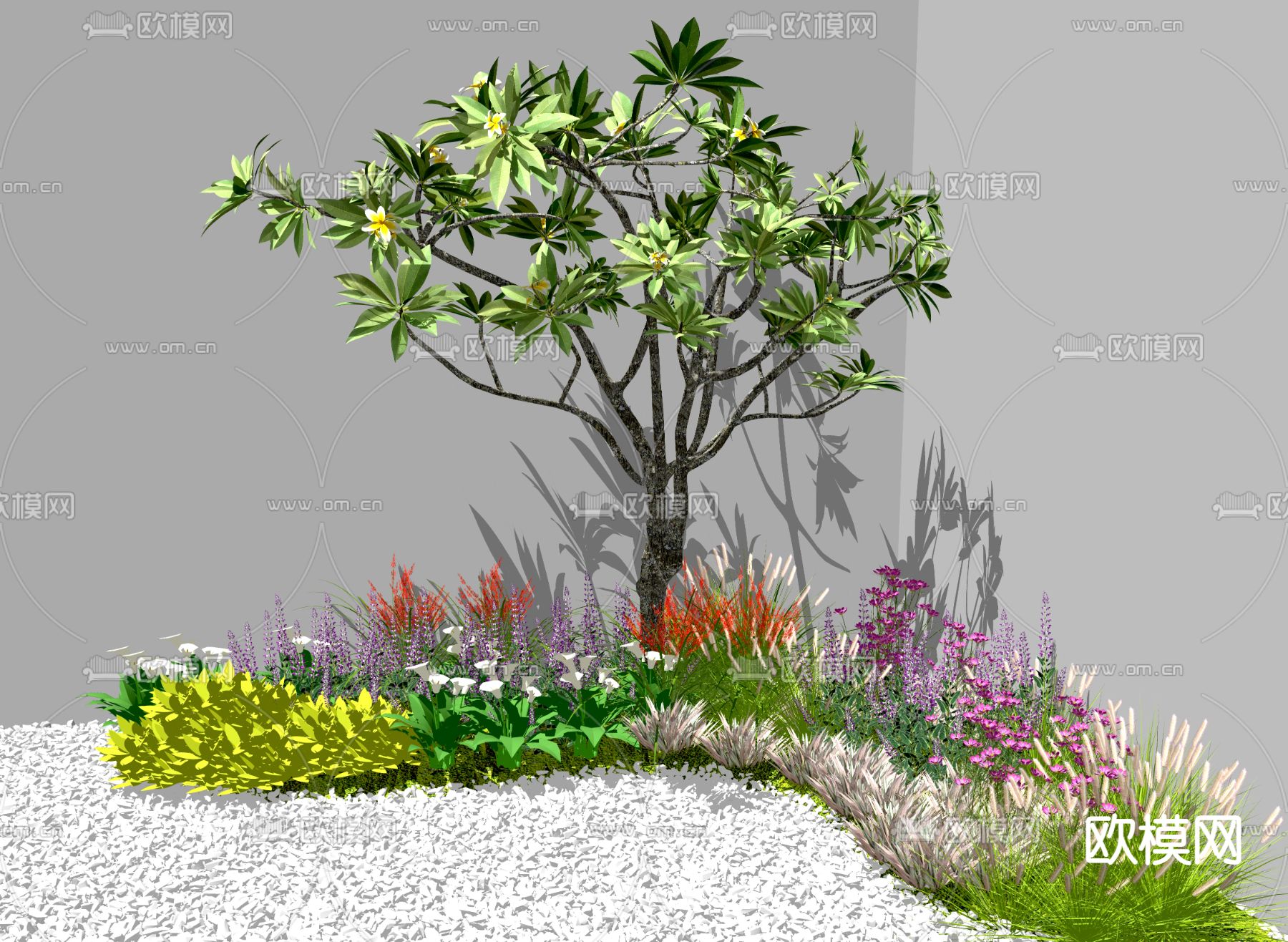 现代景观植物灌木su模型下载（渲染图1）