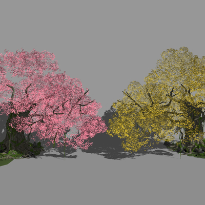  现代银杏树su模型 