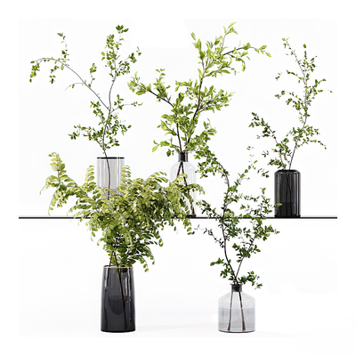  现代水生绿植花瓶su模型 