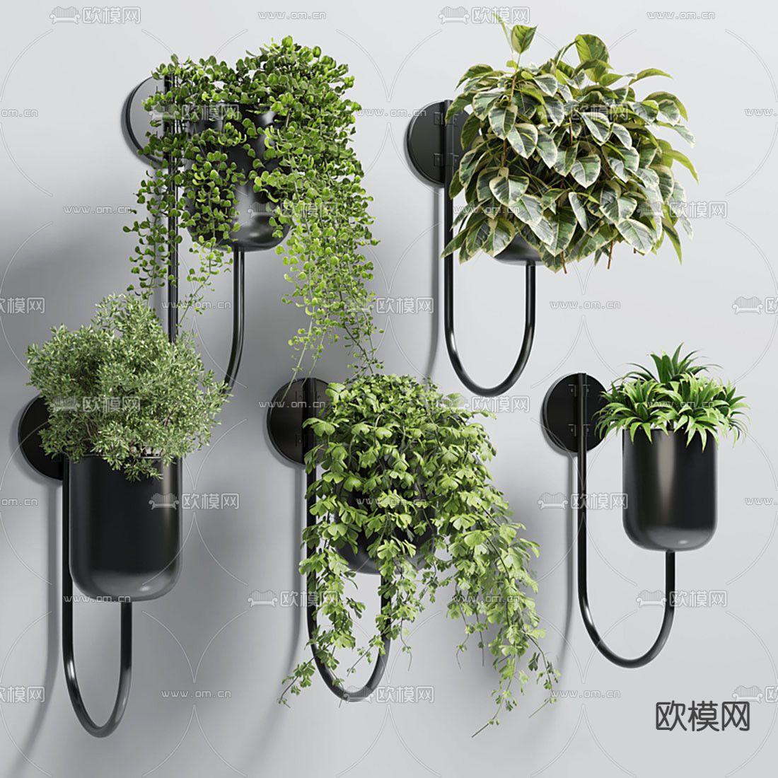 现代吊兰绿植吊篮su模型