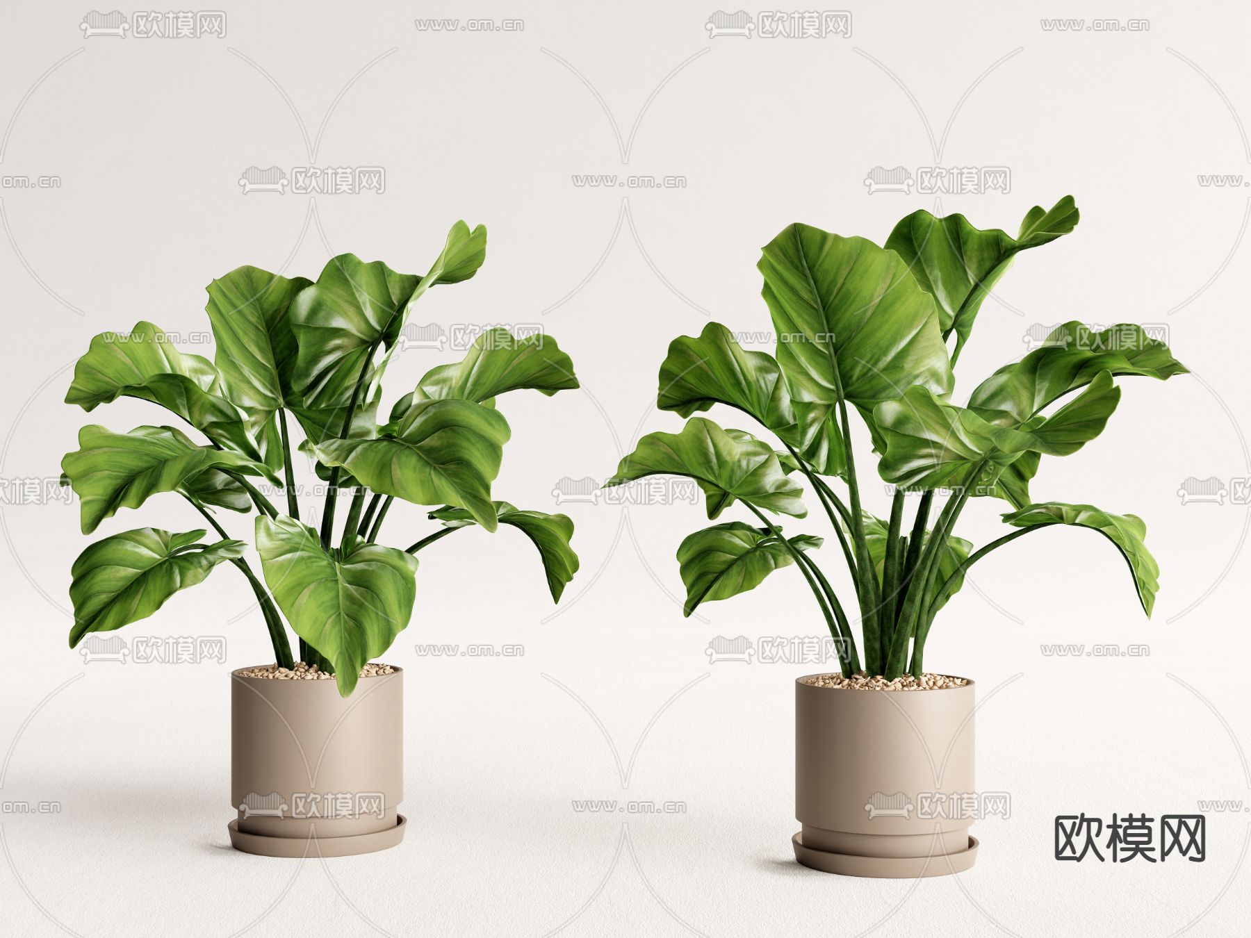 现代绿萝植物盆栽su模型下载_ID12226338_sketchup模型下载-欧模网