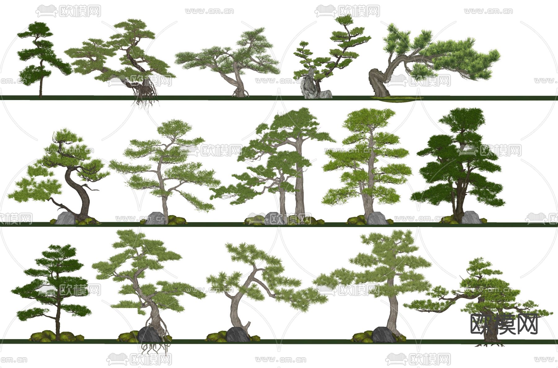 松树 景观树 树木su模型下载（渲染图2）