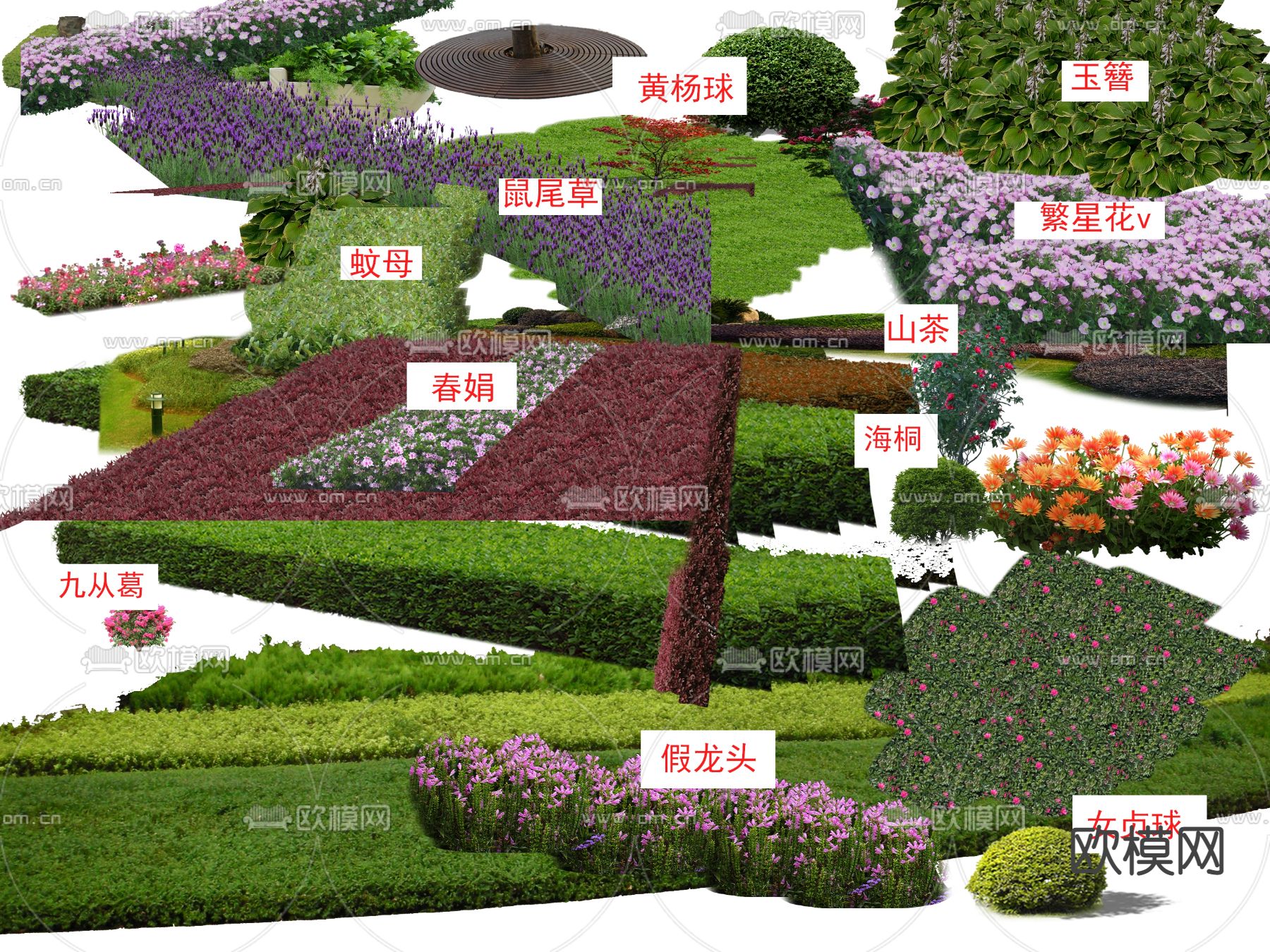 地被灌木丛psd下载