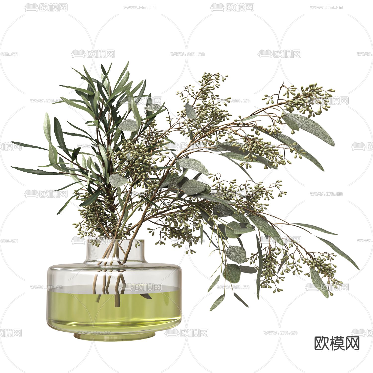 水生植物 花瓶 插花3d模型下载