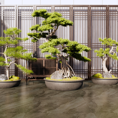 新中式松树盆栽 盆景su模型