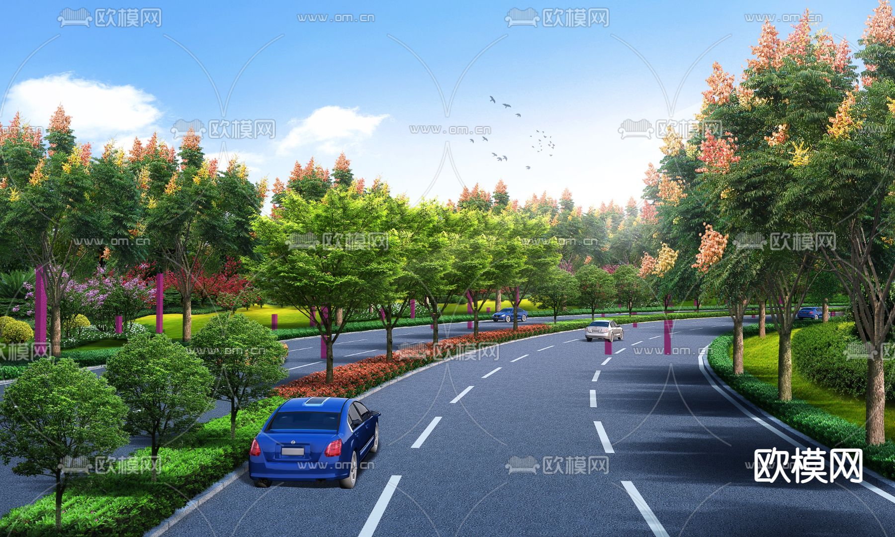 道路栾树鸟瞰psd下载