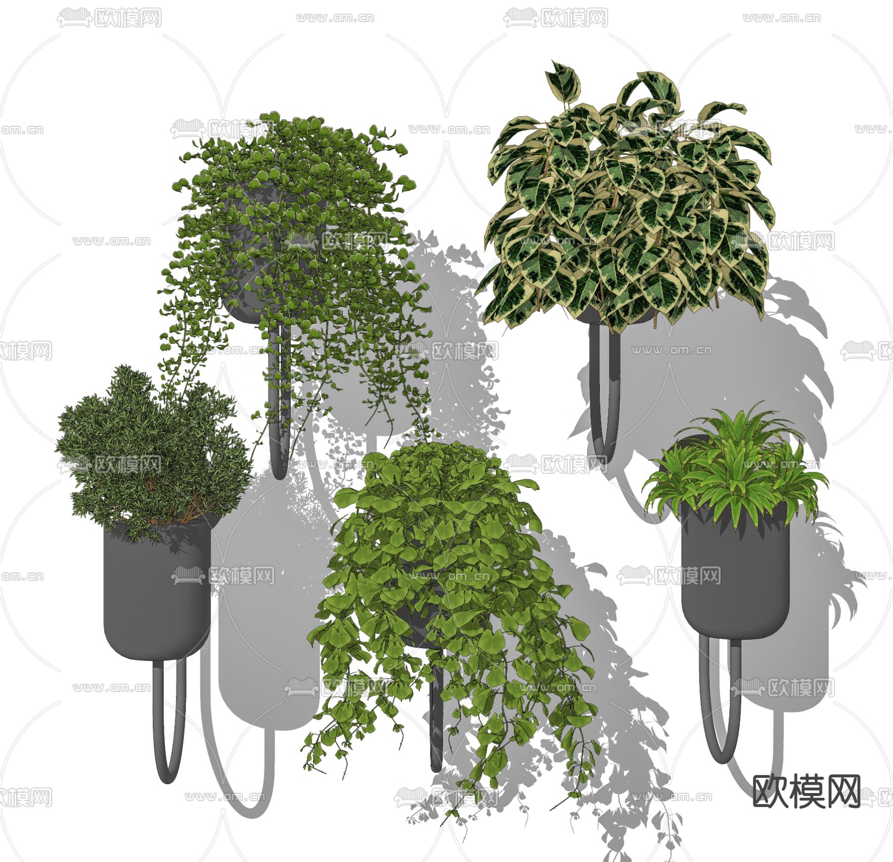 现代吊兰绿植吊篮su模型