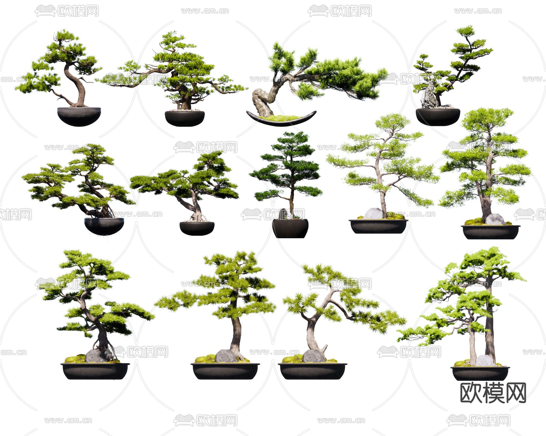 新中式松树盆栽 盆景su模型下载_ID12224821_sketchup模型下载-欧模网