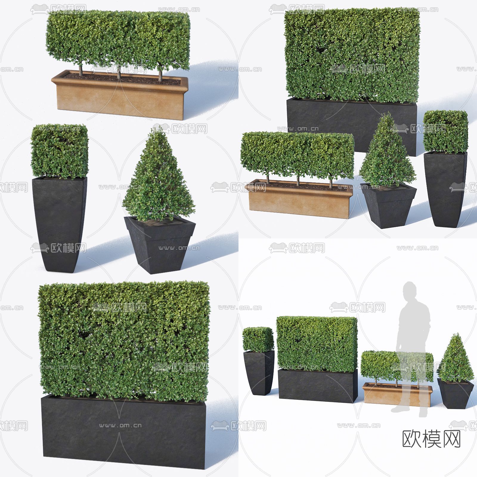 现代绿植盆栽3d模型下载_ID10001551_3dmax免费模型-欧模网