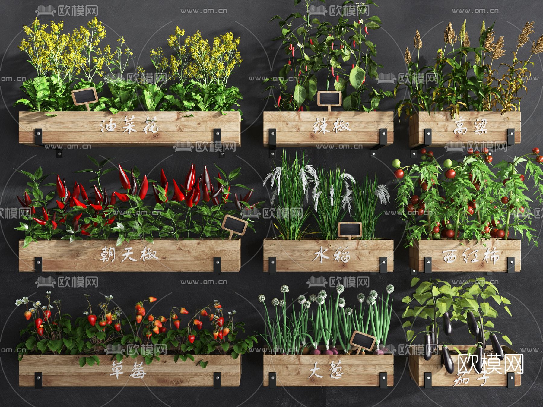 蔬菜农作物盆栽3d模型下载