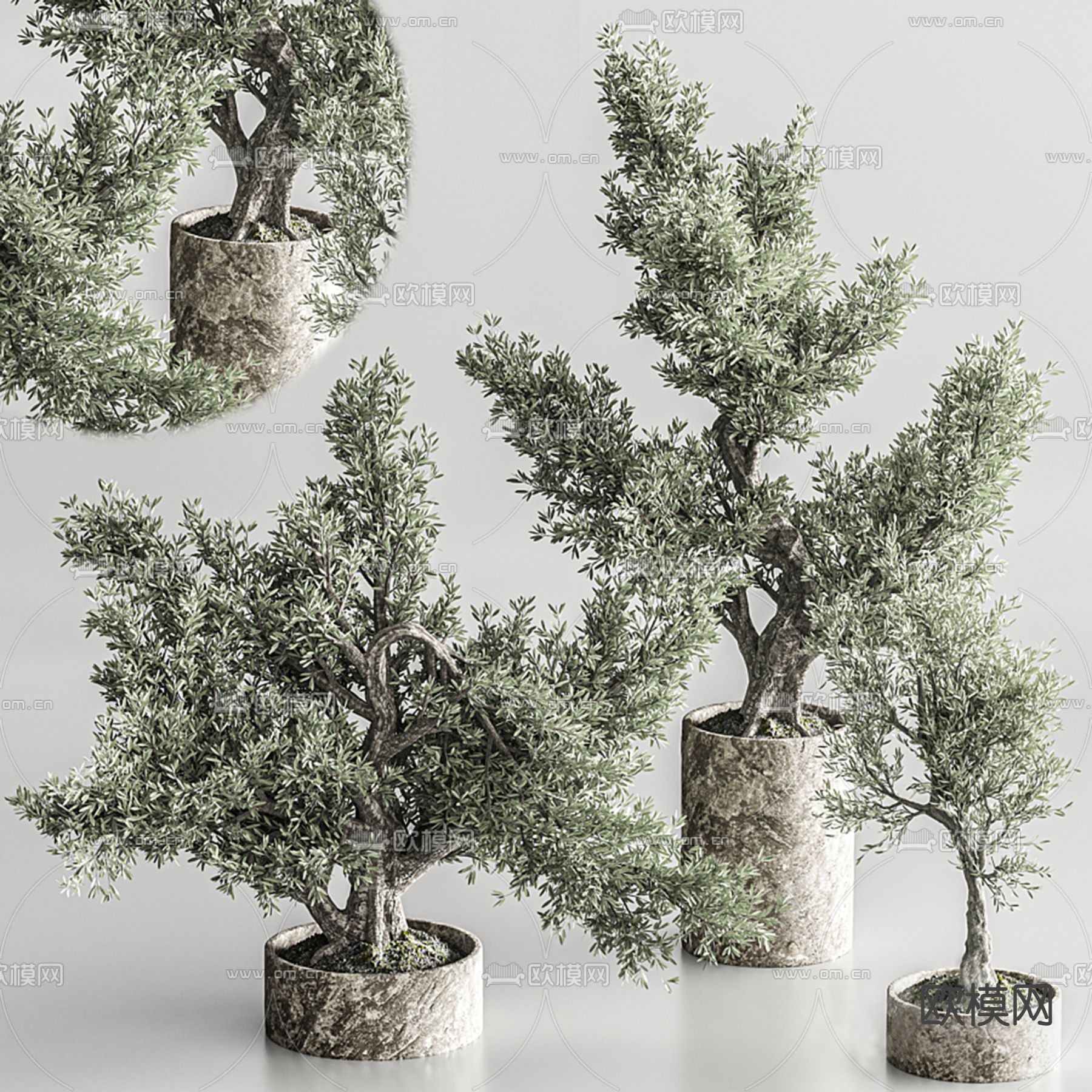 绿植盆栽 盆景3d模型下载_ID12227773_3dmax免费模型-欧模网