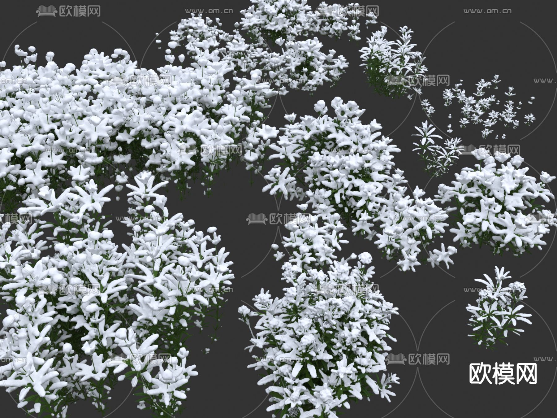 雪景花草3d模型下载