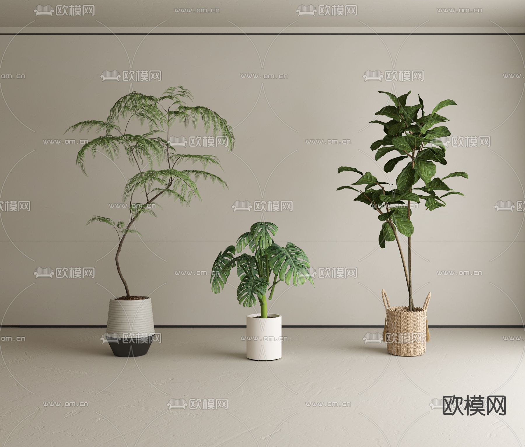 现代植物 盆栽3d模型下载