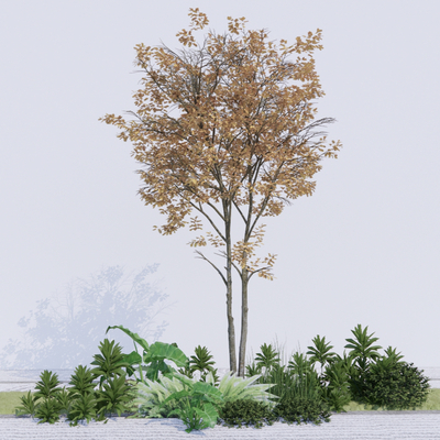  景观树 树木 大树su模型 