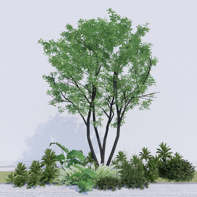  景观树 树木 大树su模型 