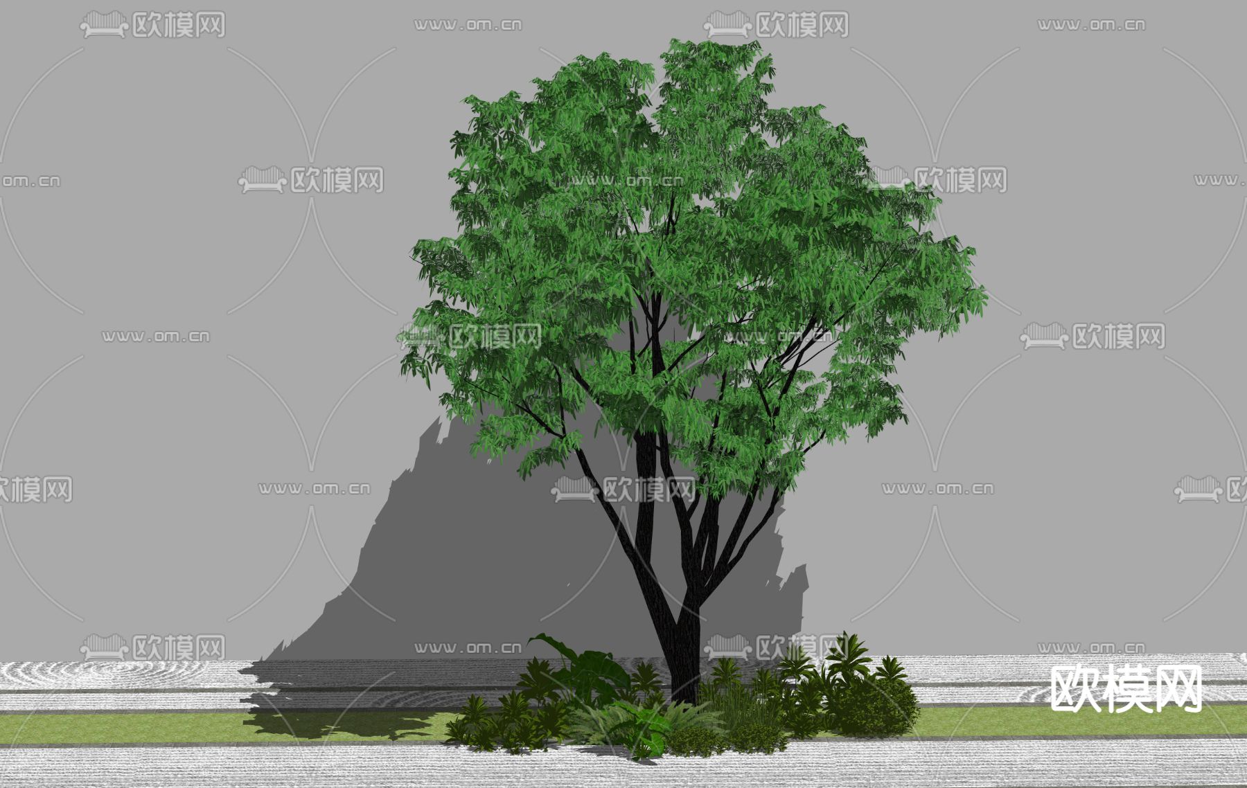 景观树 树木 大树su模型下载（渲染图2）