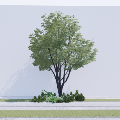  景观树 树木 大树su模型 