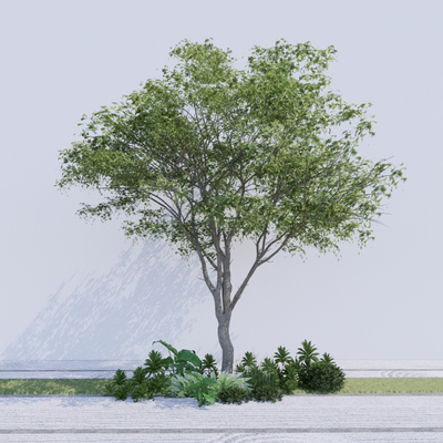  景观树 树木 大树su模型 