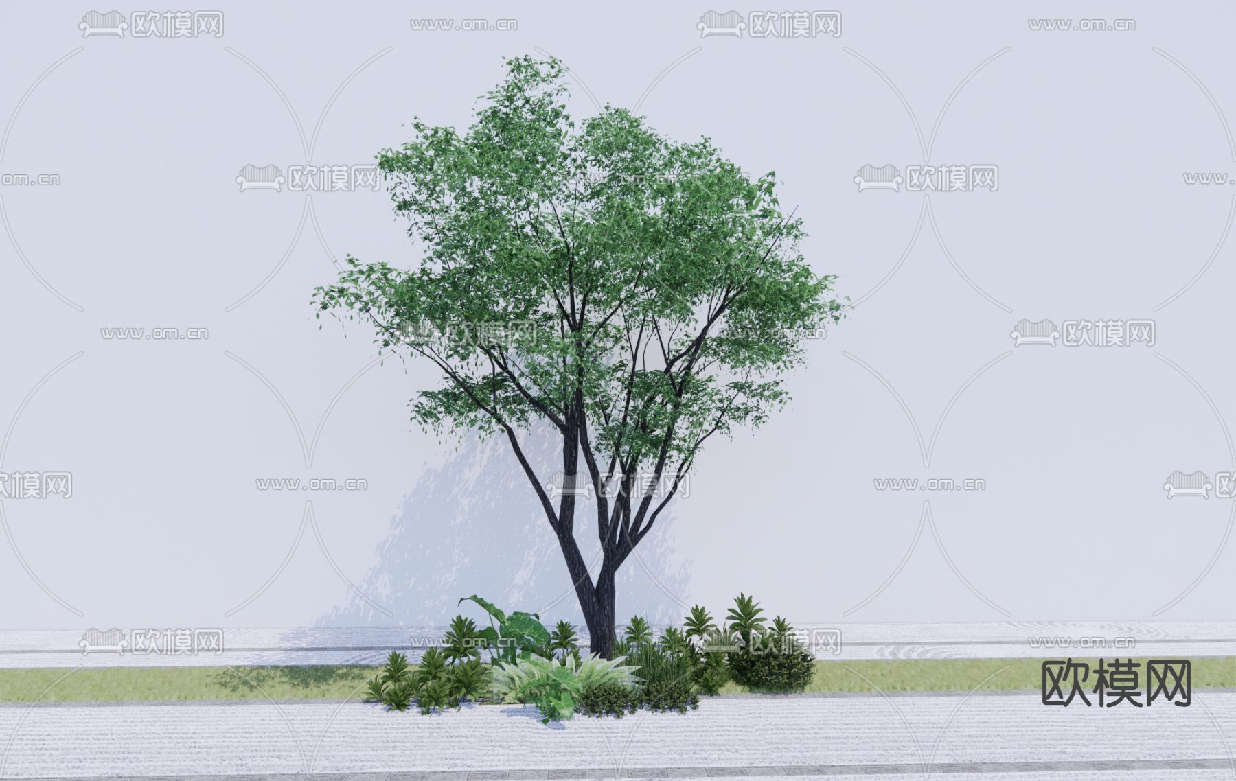 景观树 树木 大树su模型下载（渲染图1）