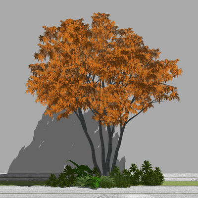  红枫树 树木 大树su模型 