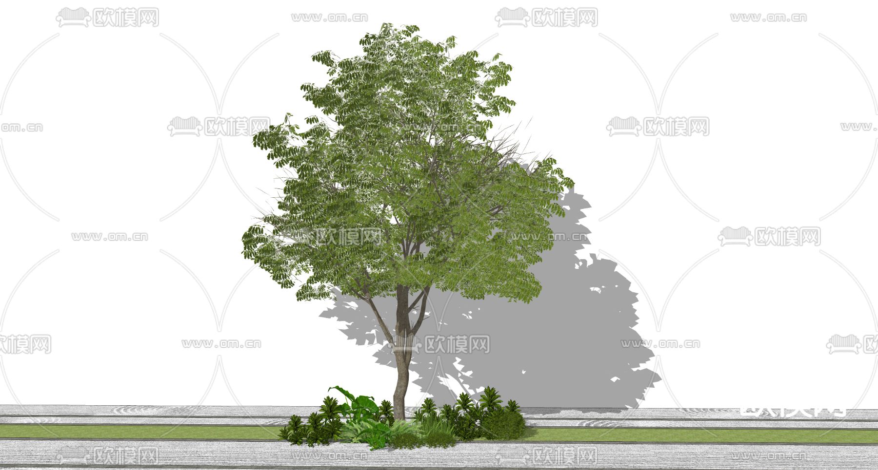 景观树 树木 大树su模型下载（渲染图2）