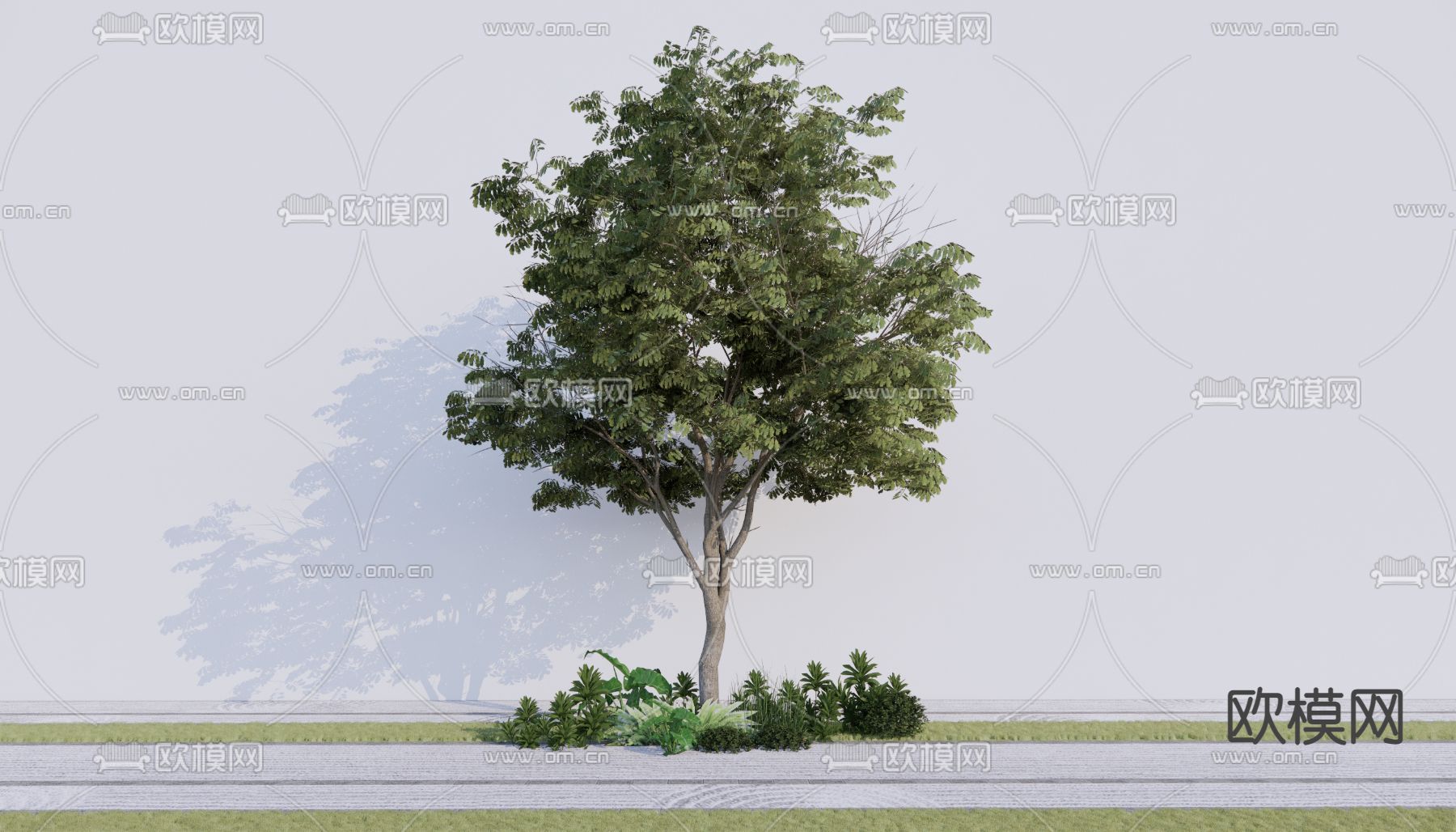 景观树 树木 大树su模型下载（渲染图1）