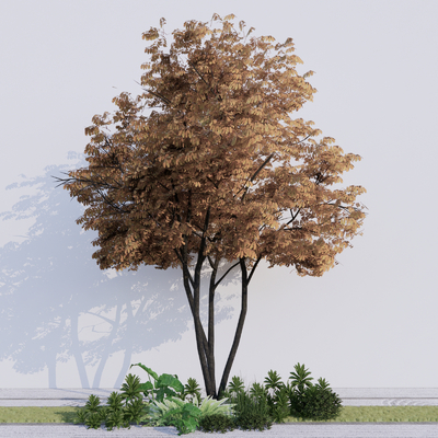  景观树 树木 大树su模型 