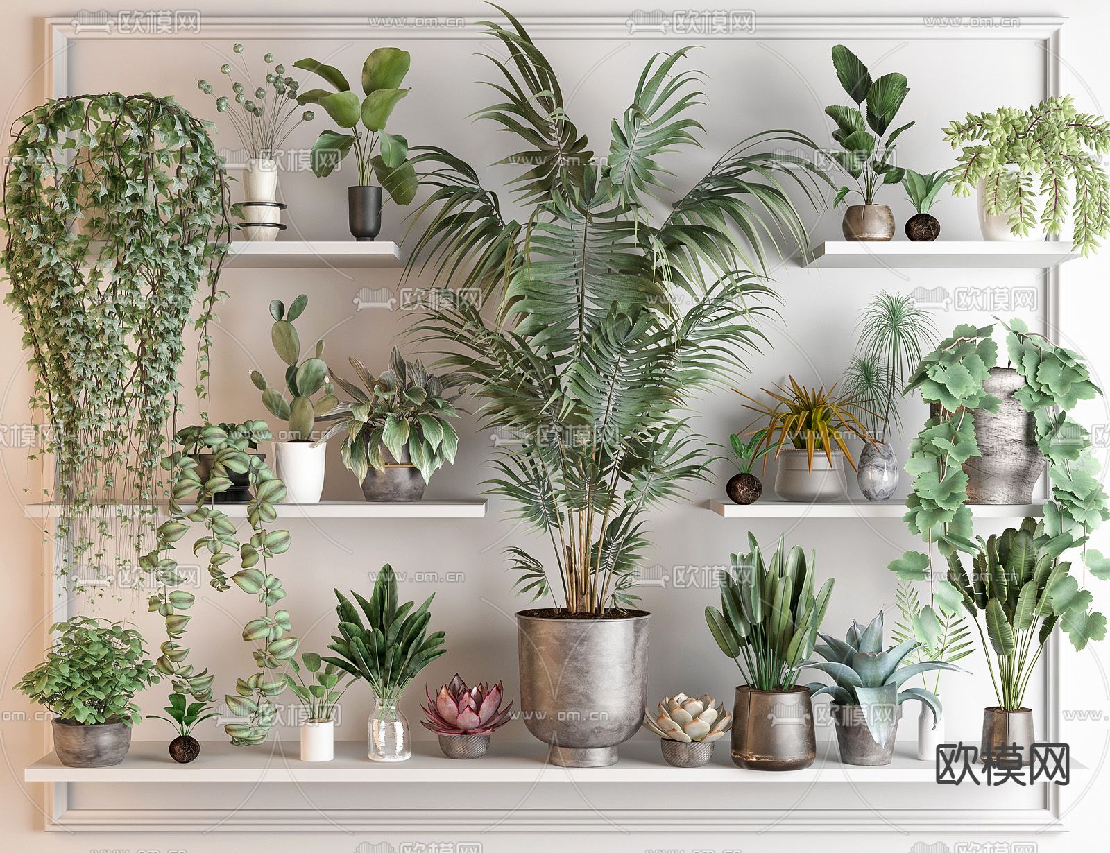 现代多肉盆栽 散尾葵盆栽su模型下载（渲染图1）