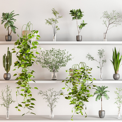  水生植物花瓶su模型 