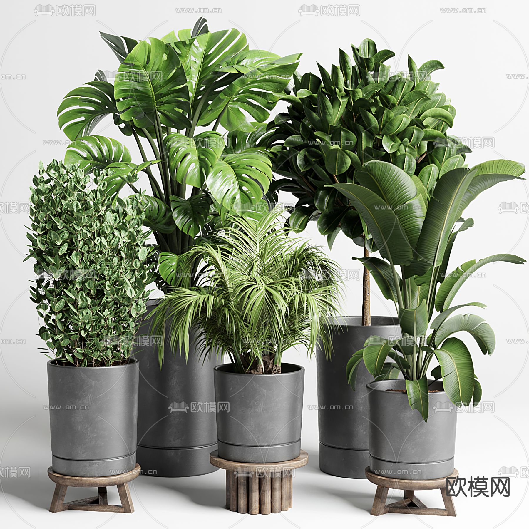 现代绿植盆栽su模型下载_ID12236221_sketchup模型下载-欧模网