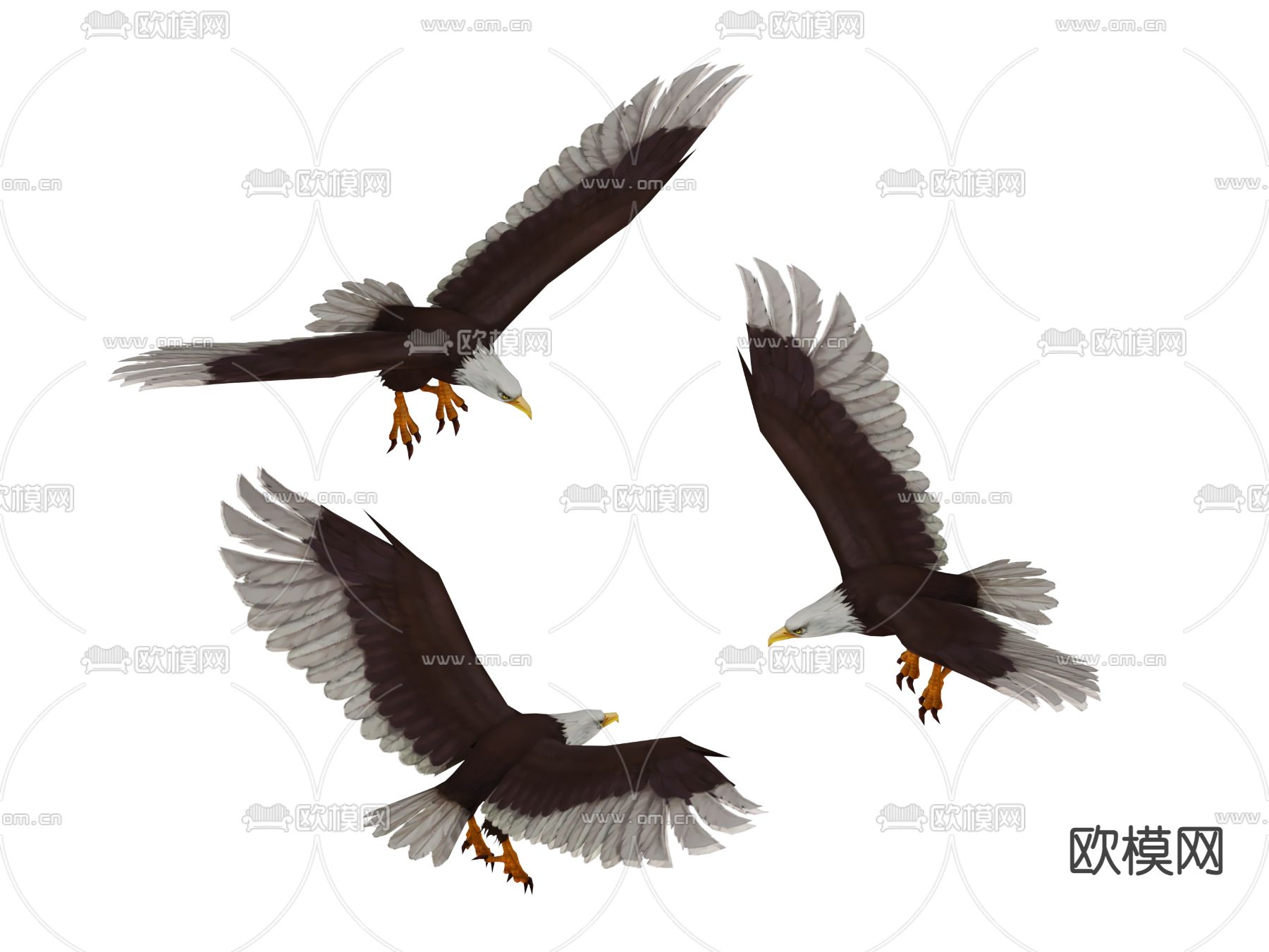 动物 老鹰3d模型下载