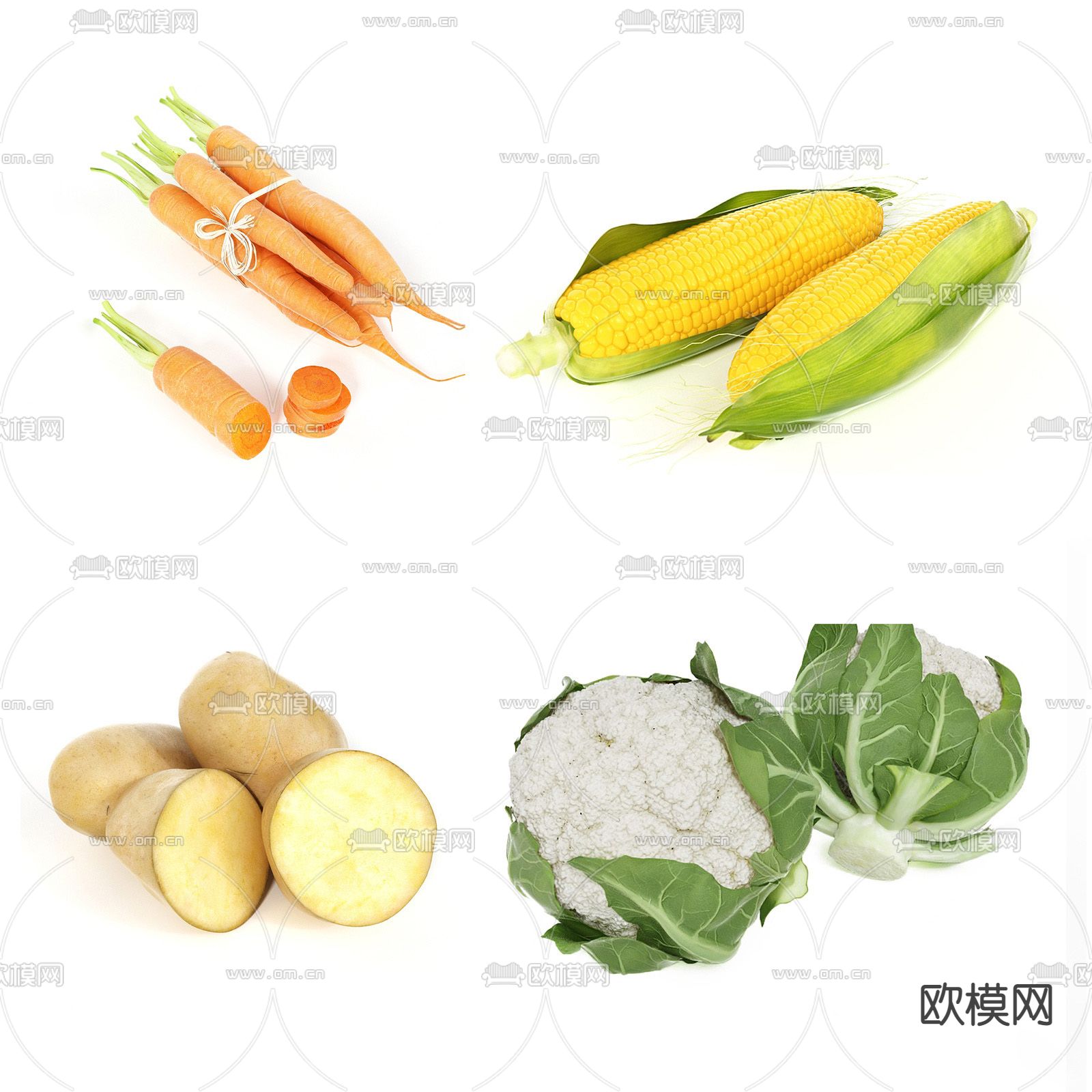 现代胡萝卜 花菜 玉米su模型下载（渲染图1）