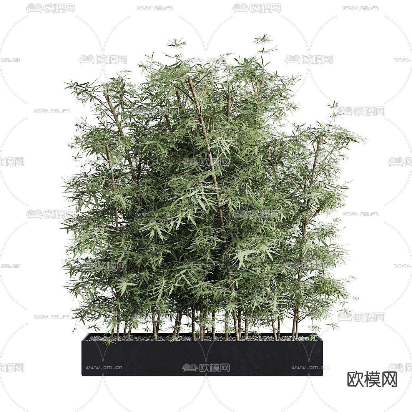 现代竹子绿植3d模型下载