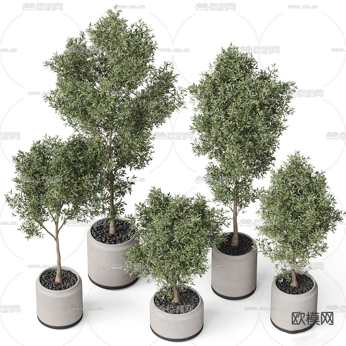 绿植盆栽 盆景3d模型