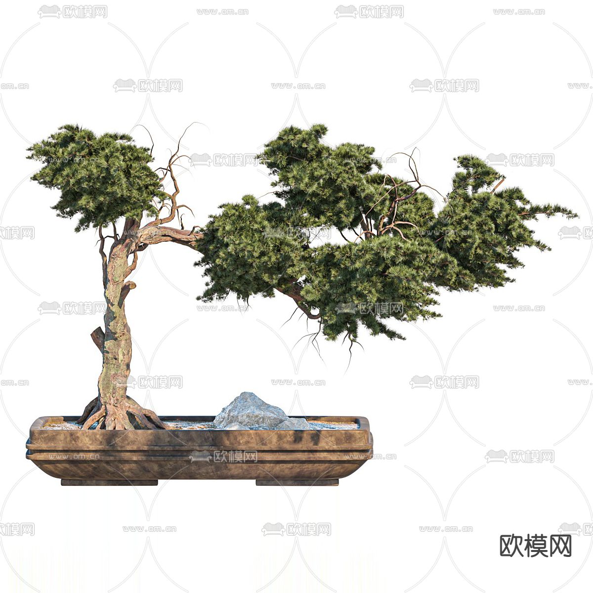 新中式松柏盆栽 盆景3d模型下载（渲染图2）