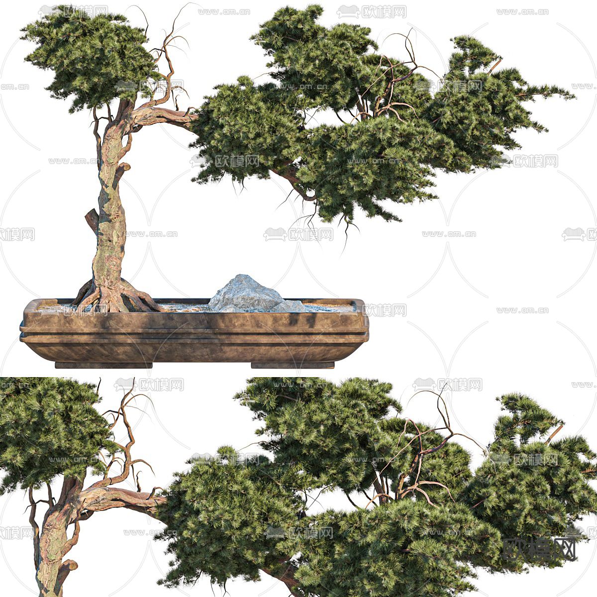 新中式松柏盆栽 盆景3d模型下载（渲染图1）