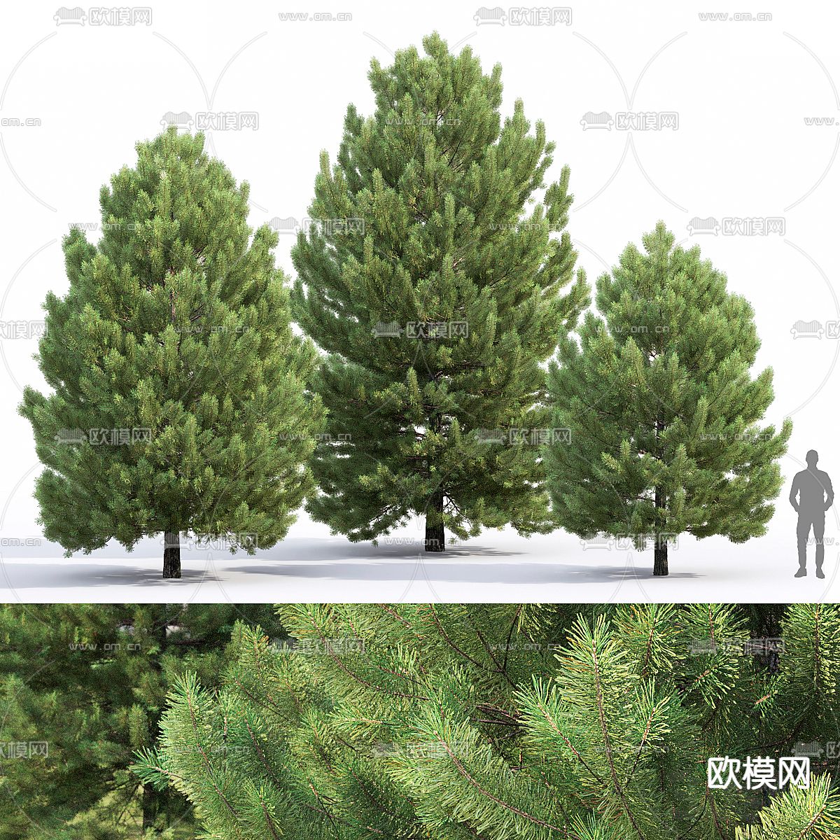 大树 景观树 树木3d模型下载（渲染图1）