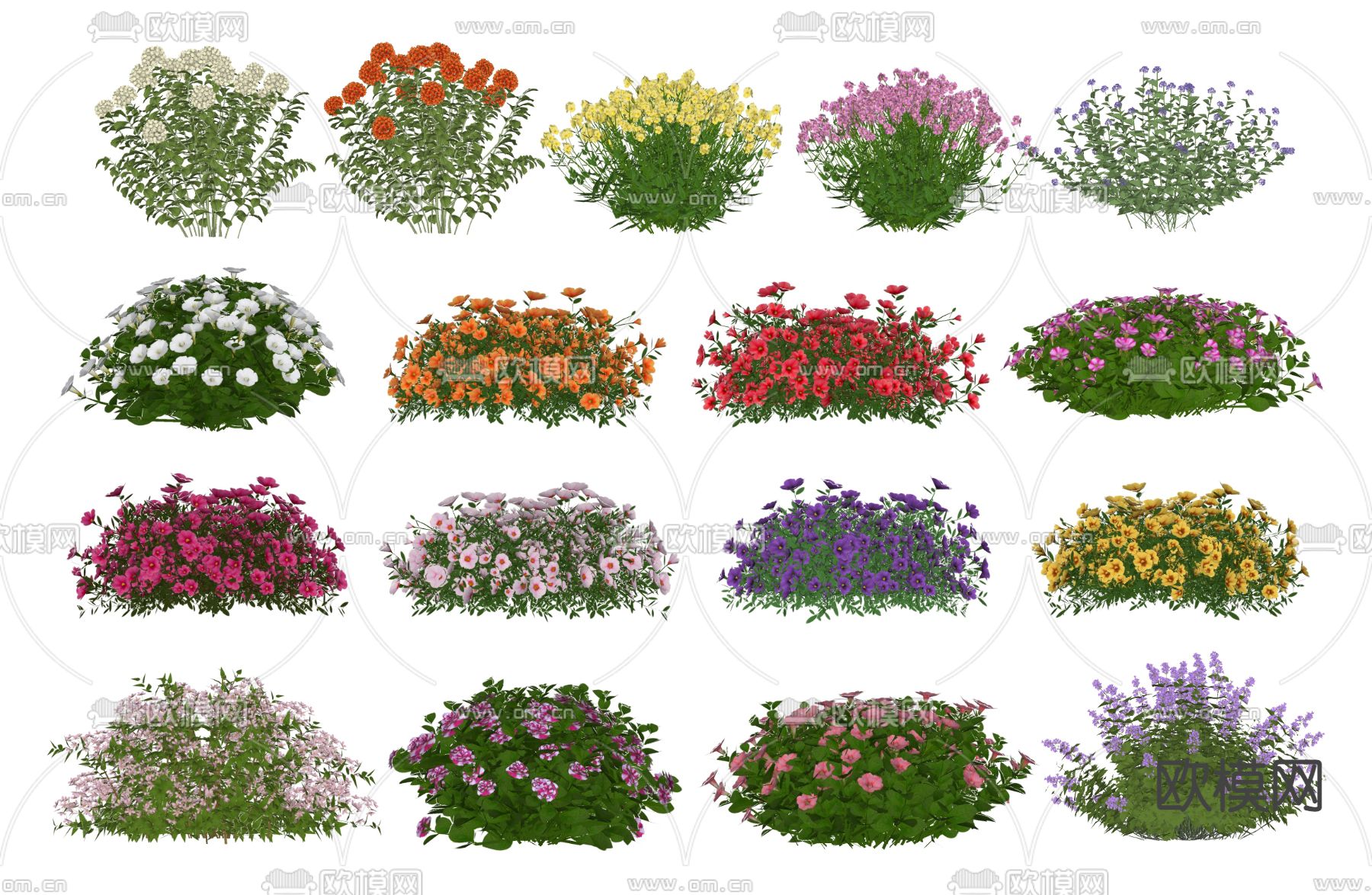 现代灌木丛 灌木球花草su模型下载